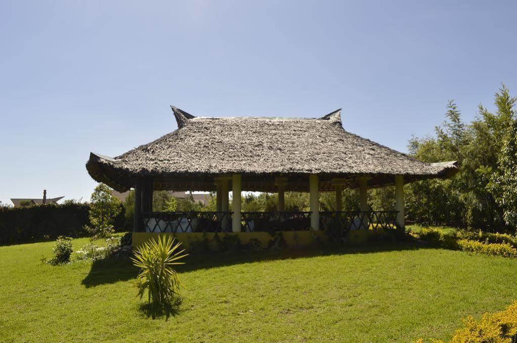 Giraffe Ark Game Lodge Nyeri Exterior photo